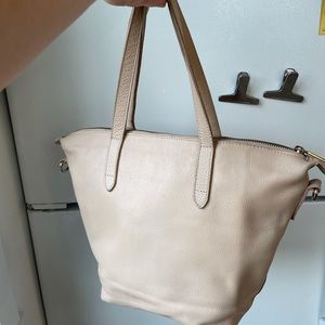 Cuyana Small Zippered Carryall Tote in Blush